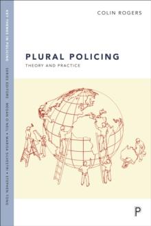 Plural policing : Theory and practice