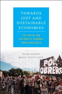 Towards just and sustainable economies : The social and solidarity economy North and South