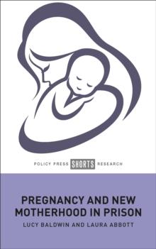 Pregnancy and New Motherhood in Prison