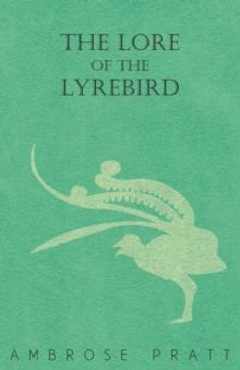 The Lore of the Lyrebird