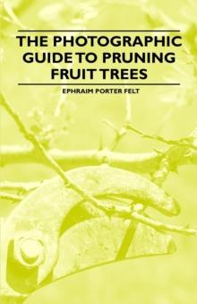 The Photographic Guide to Pruning Fruit Trees