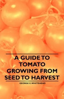 A Guide to Tomato Growing from Seed to Harvest