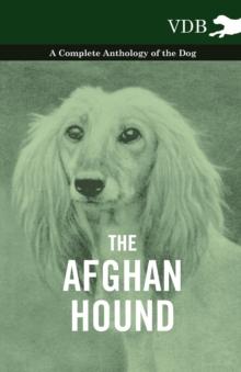 The Afghan Hound - A Complete Anthology of the Dog -