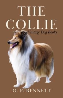 The Collie