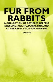 Fur from Rabbits - A Collection of Articles on Pelt Dressing, Killing, Marketing and Other Aspects of Fur Farming