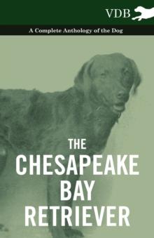 The Chesapeake Bay Retriever - A Complete Anthology of the Dog -