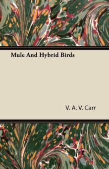 Mule And Hybrid Birds