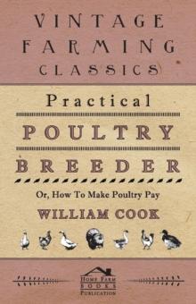 Practical Poultry Breeder - Or, How To Make Poultry Pay