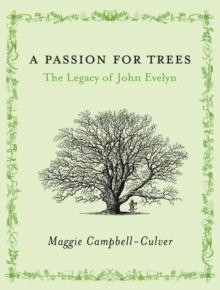 A Passion For Trees : The Legacy Of John Evelyn