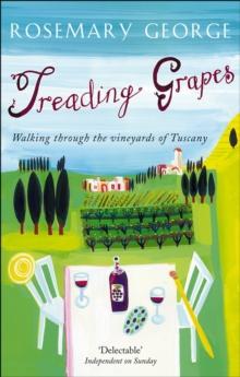 Treading Grapes : Walking Through The Vineyards Of Tuscany