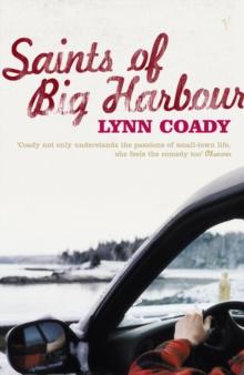 The Saints Of Big Harbour