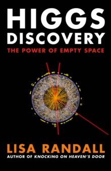 Higgs Discovery : The Power of Empty Space