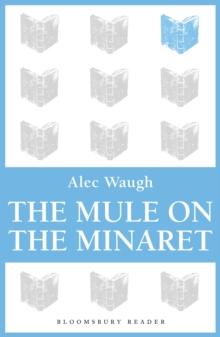 The Mule on the Minaret : A Novel about the Middle East