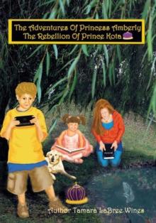 The Adventures of Princess Amberly : The Rebellion of Prince Kota