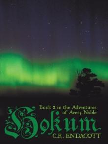 Hokum : Book 2 in the Adventures of Avery Noble