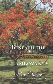 Beneath the Flowering Flamboyants