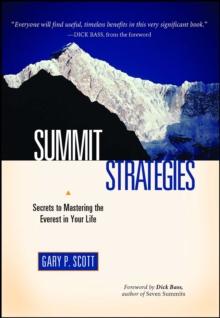 Summit Strategies : Secrets To Mastering The Everest In Your Life