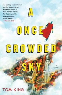 A Once Crowded Sky : A Novel