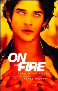 On Fire : A Teen Wolf Novel