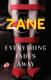 Everything Fades Away : An eShort Story