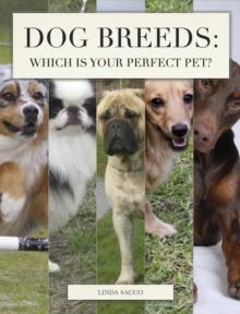 Dog Breeds: Which is Your Perfect Pet?