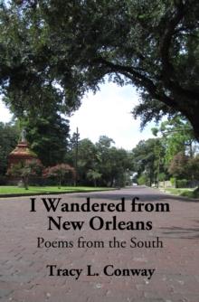 I Wandered from New Orleans: Poems from the South