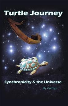 Turtle Journey : Synchronicity and the Universe