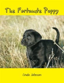 The Fortunate Puppy