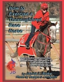 How to Exercise a Thoroughbred Race Horse