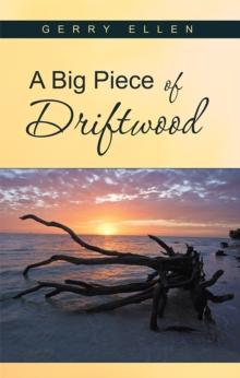 A Big Piece of Driftwood