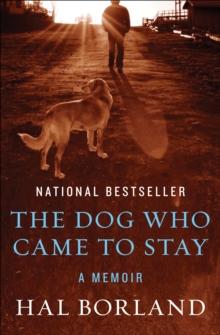 The Dog Who Came to Stay : A Memoir