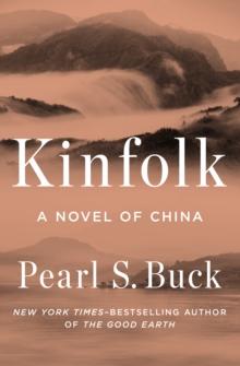 Kinfolk : A Novel of China