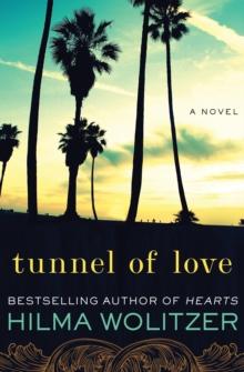 Tunnel of Love : A Novel