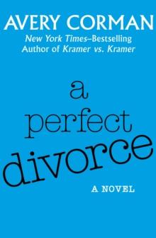 A Perfect Divorce : A Novel