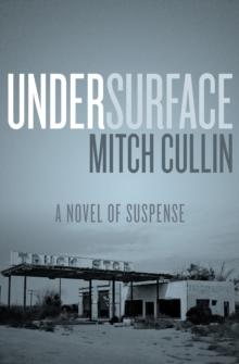 UnderSurface : A Novel of Suspense