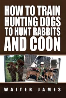 How to Train Hunting Dogs to Hunt Rabbits and Coon