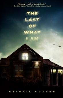 The Last of What I Am : A Novel