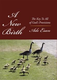 A New Birth : The Key to All of God'S Provisions