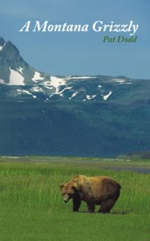 A Montana Grizzly