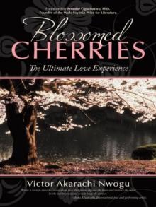 Blossomed Cherries : The Ultimate Love Experience