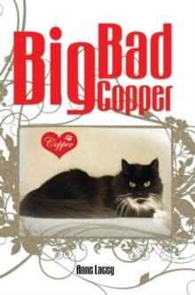 Big Bad Copper