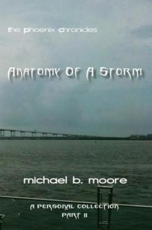 The Phoenix Chronicles  Anatomy of a Storm : A Personal Collection Part Ii