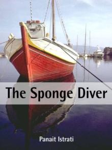 Sponge Diver