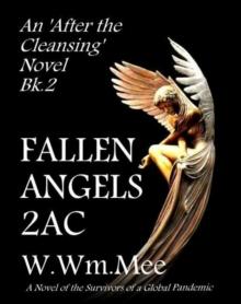 2 A.C. Fallen Angels