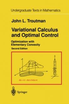 Variational Calculus and Optimal Control : Optimization with Elementary Convexity