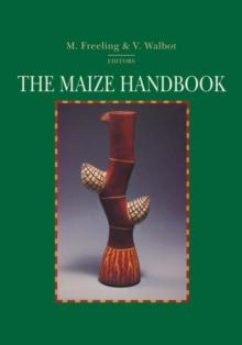 The Maize Handbook