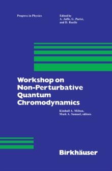 Workshop on Non-Perturbative Quantum Chromodynamics