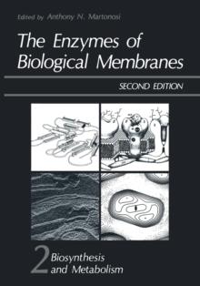 The Enzymes of Biological Membranes : Volume 2 Biosynthesis and Metabolism