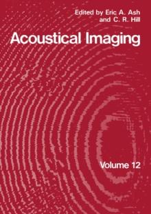 Acoustical Imaging