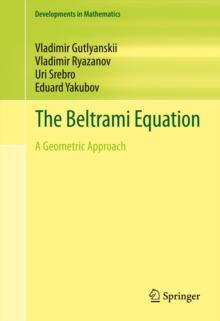 The Beltrami Equation : A Geometric Approach